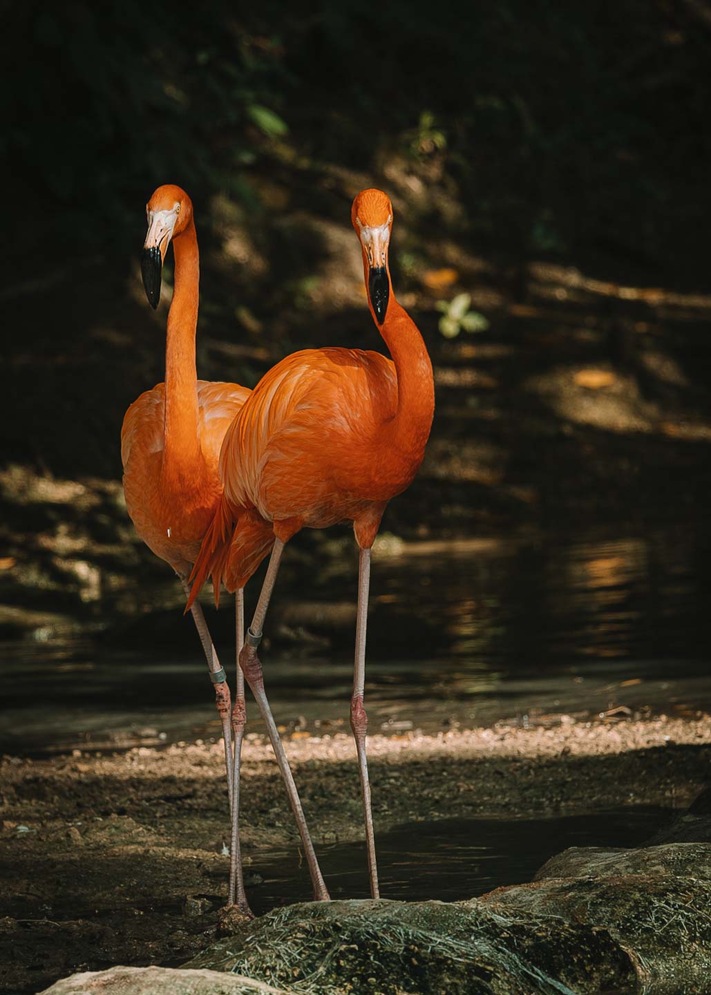 Foto nature 1 - Fotografía por Paloma Burgos, Santo Domingo