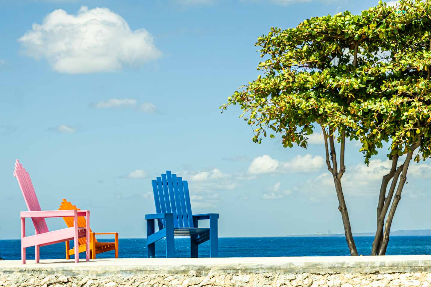 Foto nature 3 - Fotografía por Paloma Burgos, Santo Domingo