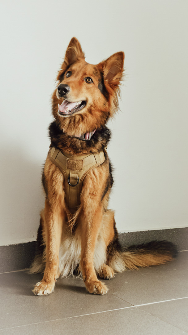 Foto nature 5 - Fotografía por Paloma Burgos, Santo Domingo