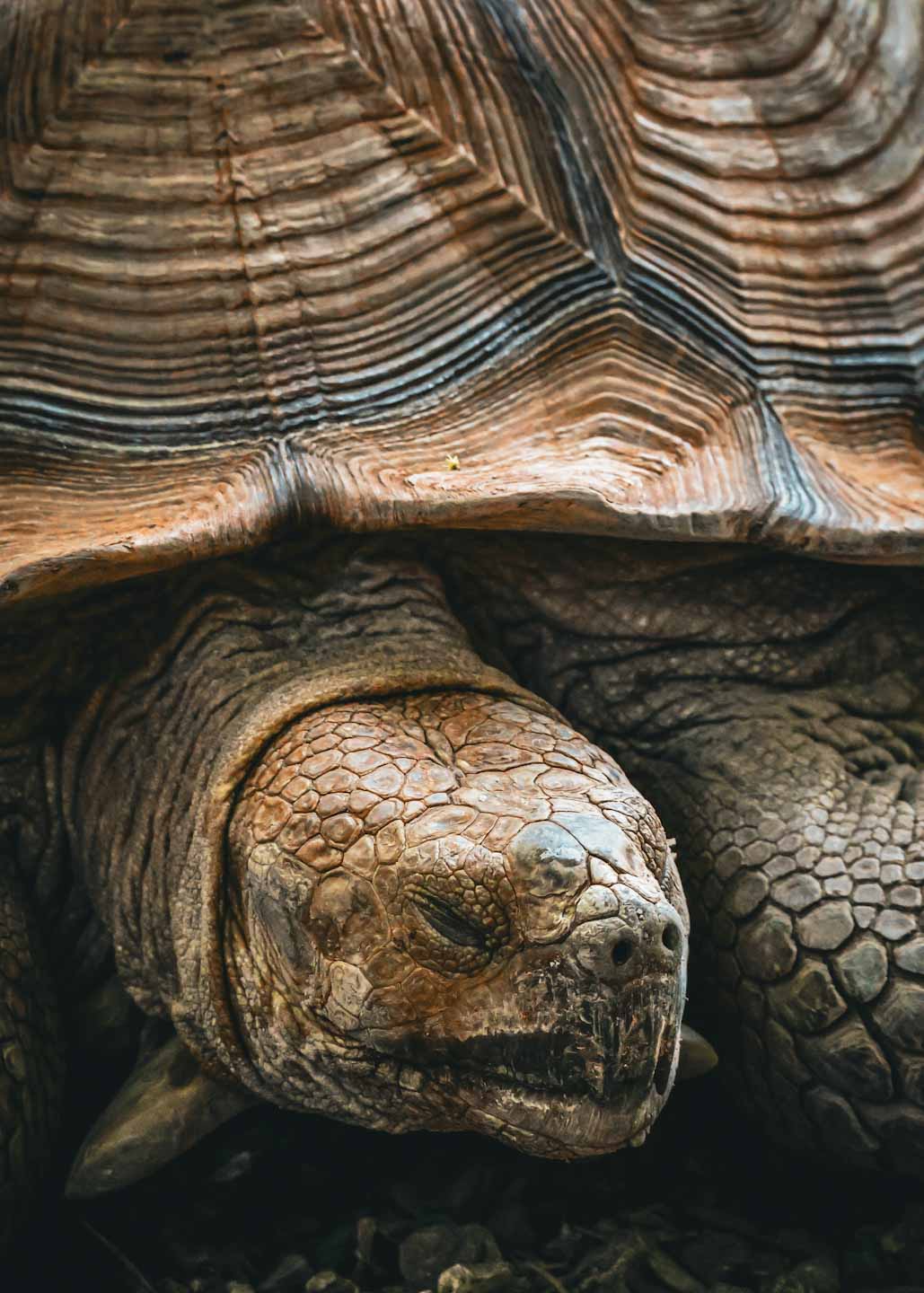 Foto nature 6 - Fotografía por Paloma Burgos, Santo Domingo