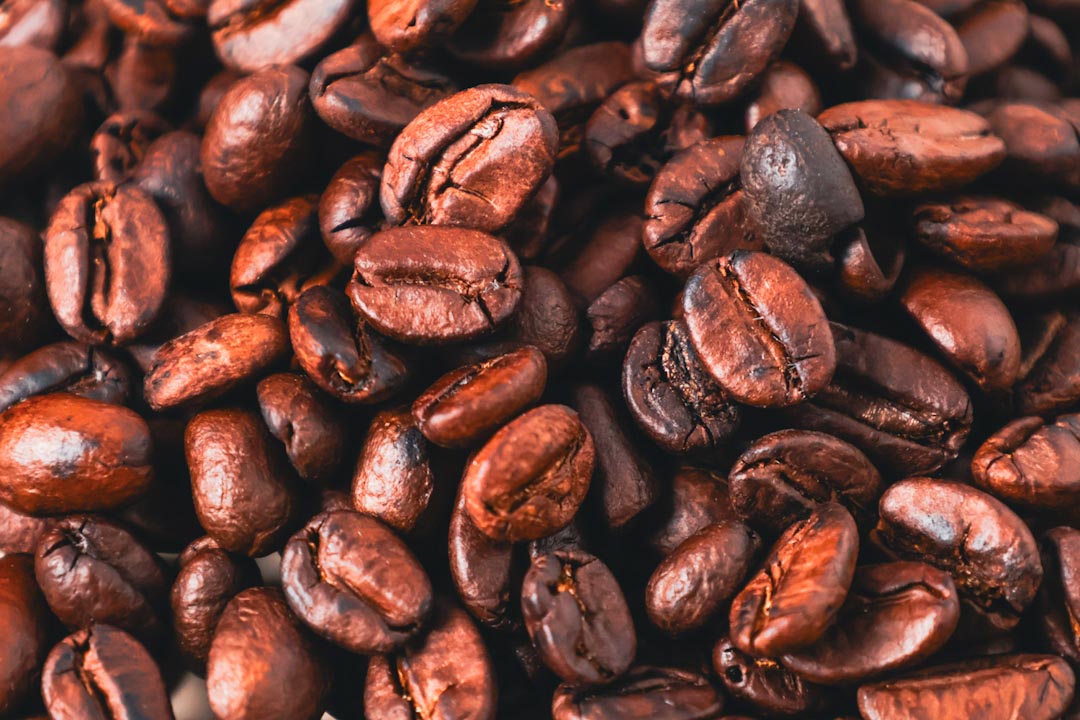 Paloma Burgos Photography - Product